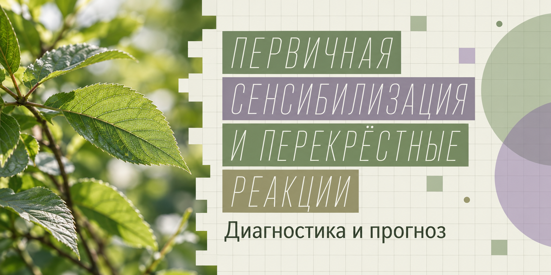 Первичные сенсибилизаторы и перекрестно-реагирующие аллергены: особенности диагностики и роль в прогнозе развития аллергопатологии | кмн Ханова Ф.М.