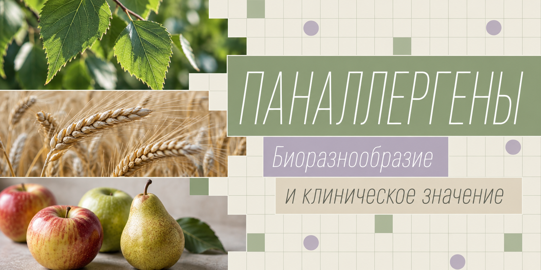 Паналлергены: биоразнообразие, структура, функции, клиническое значение