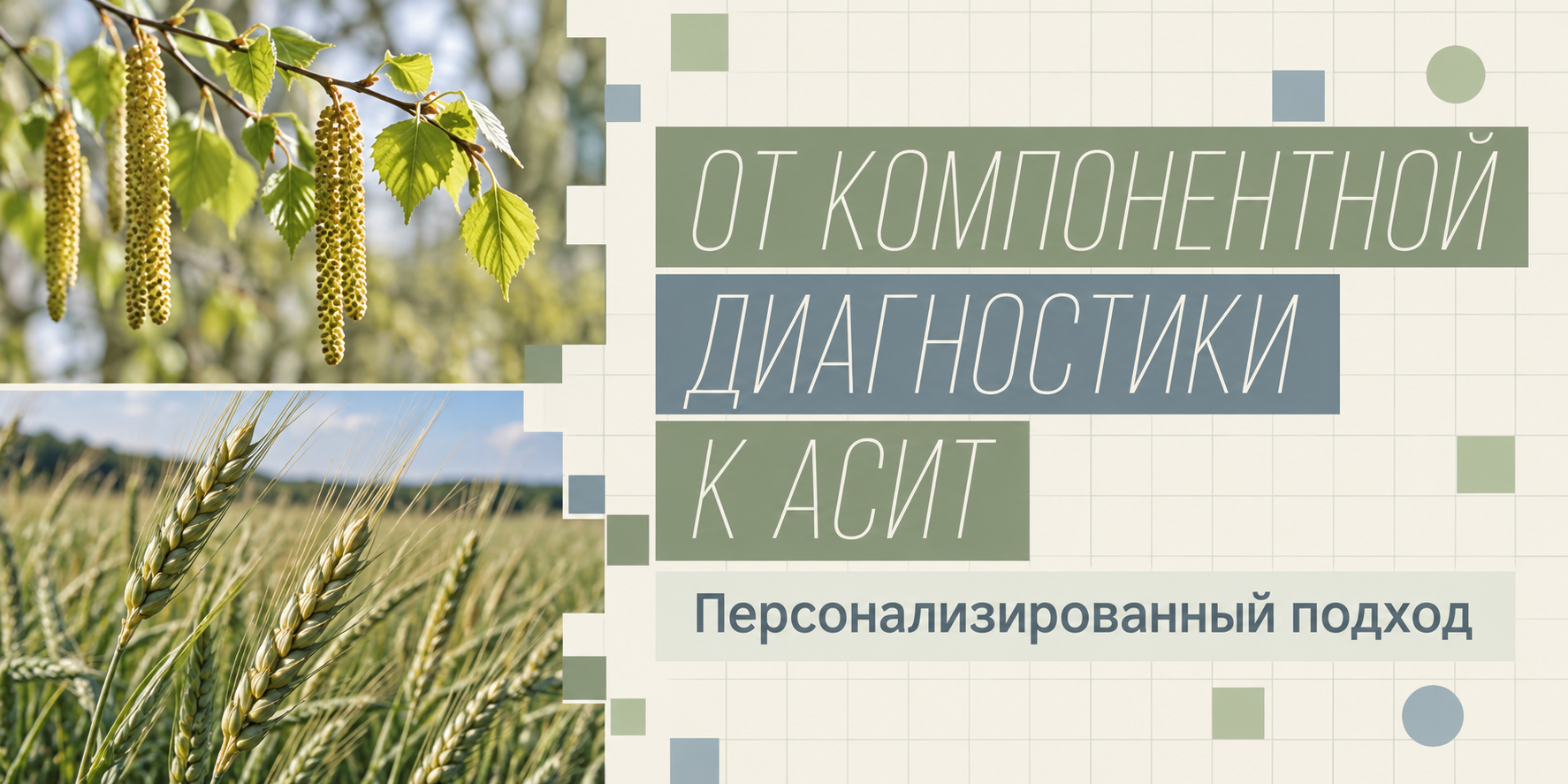 От компонентной диагностики к персонализированной аллерген-специфической иммунотерапии: показания, прогноз, эффективность