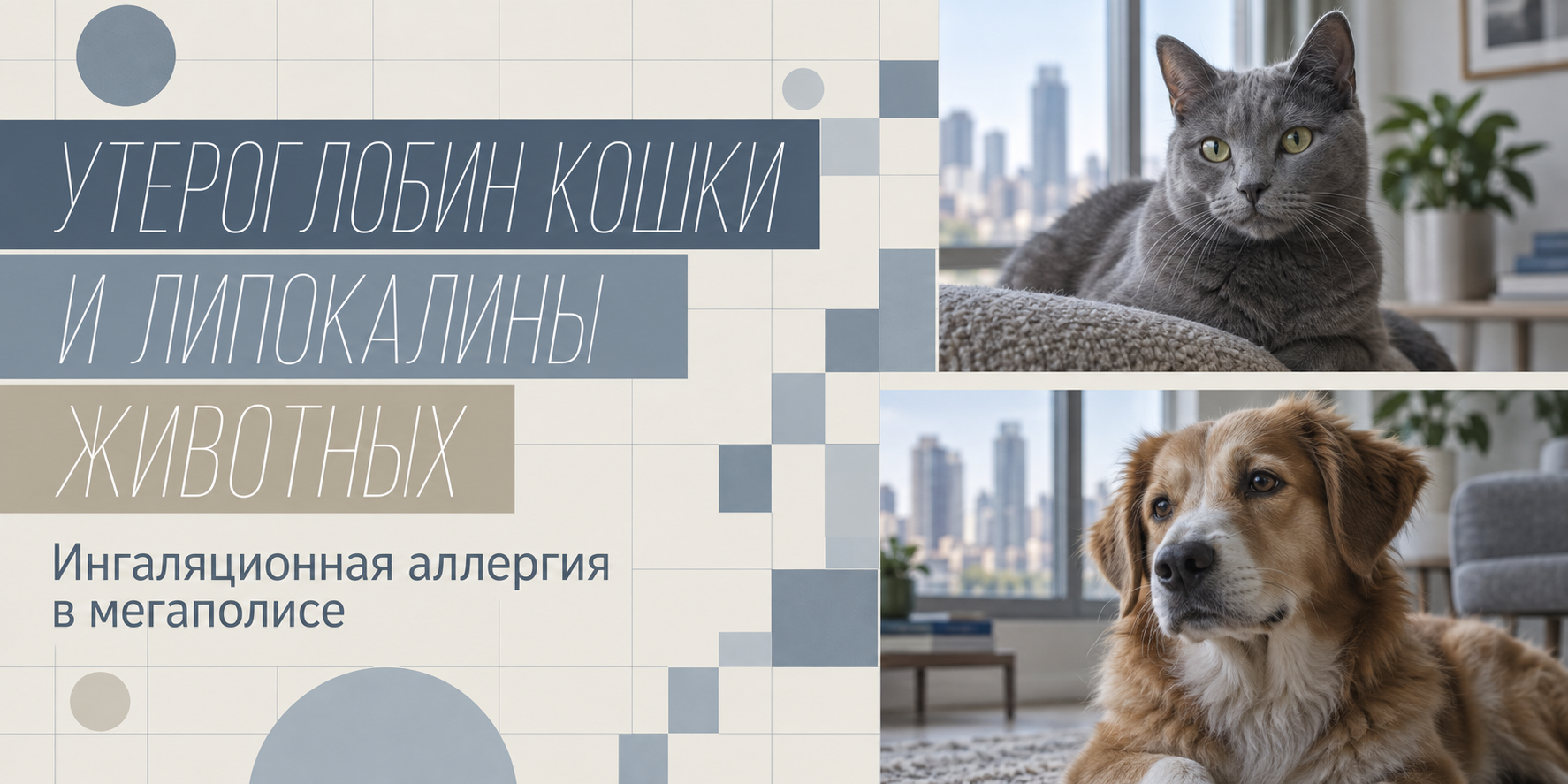 Утероглобин кошки и липокалины животных как мажорные ингаляционные аллергены в условиях современного мегаполиса | кмн Керопян Г.А.