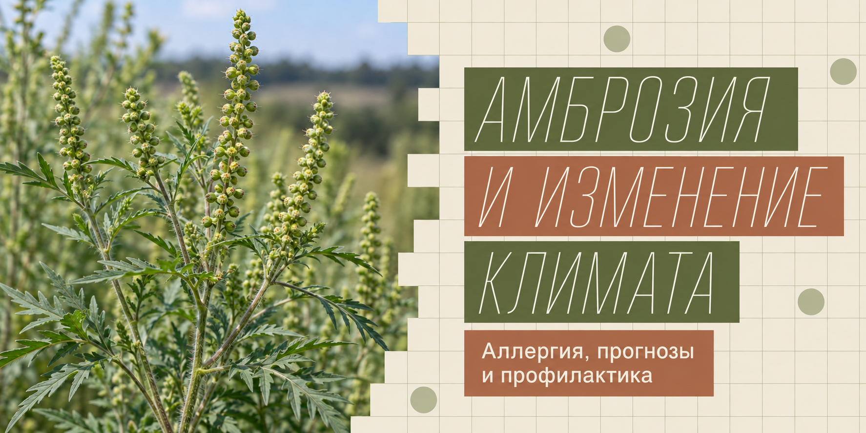 Глобальное потепление климата и экспансия амброзии -  новые проблемы в распространении аллергопатологии, прогнозы и профилактика
