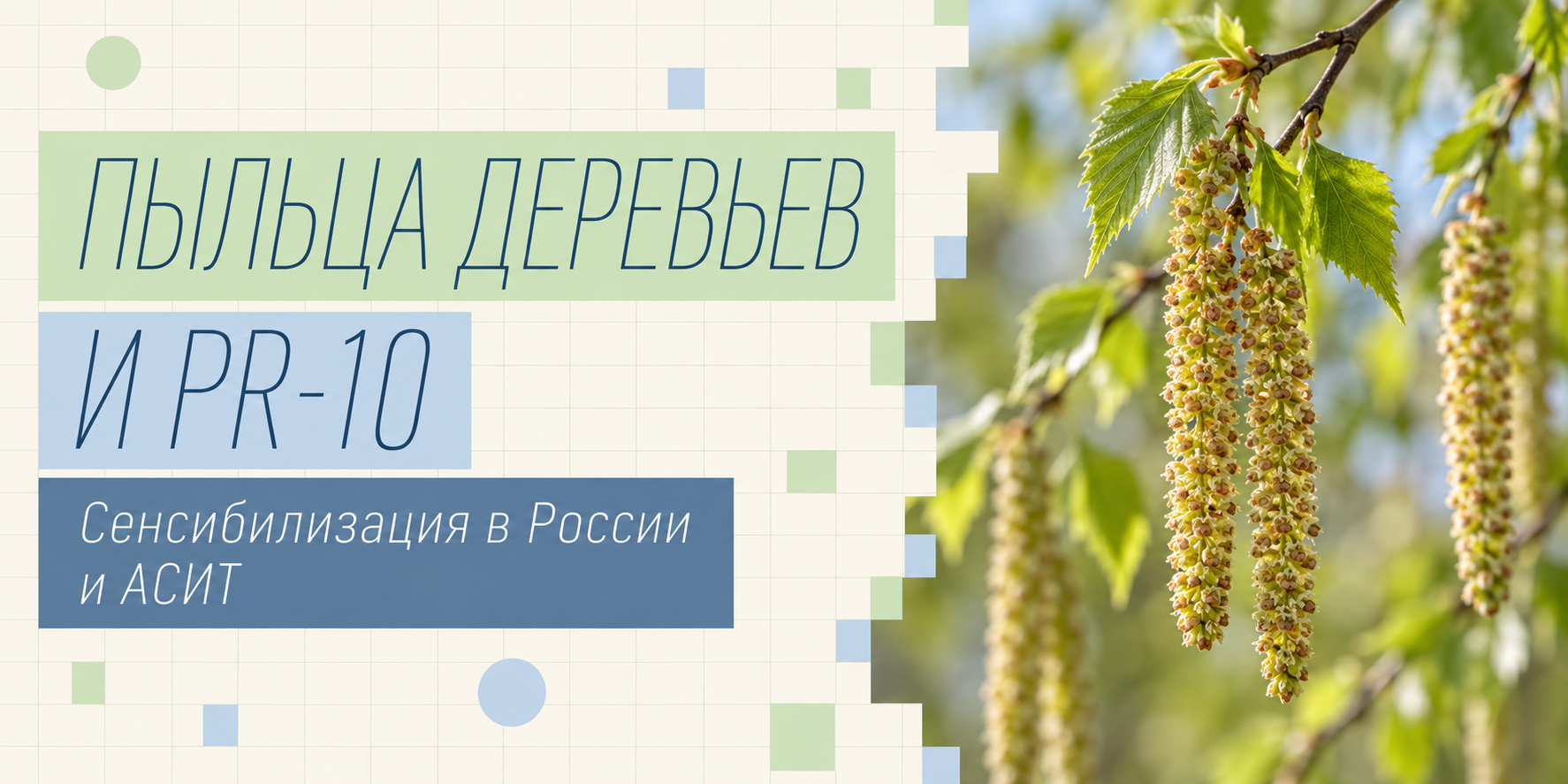 Сенсибилизация к белкам PR-10 пыльцы деревьев в России: диагностика и прогноз эффективности АСИТ
