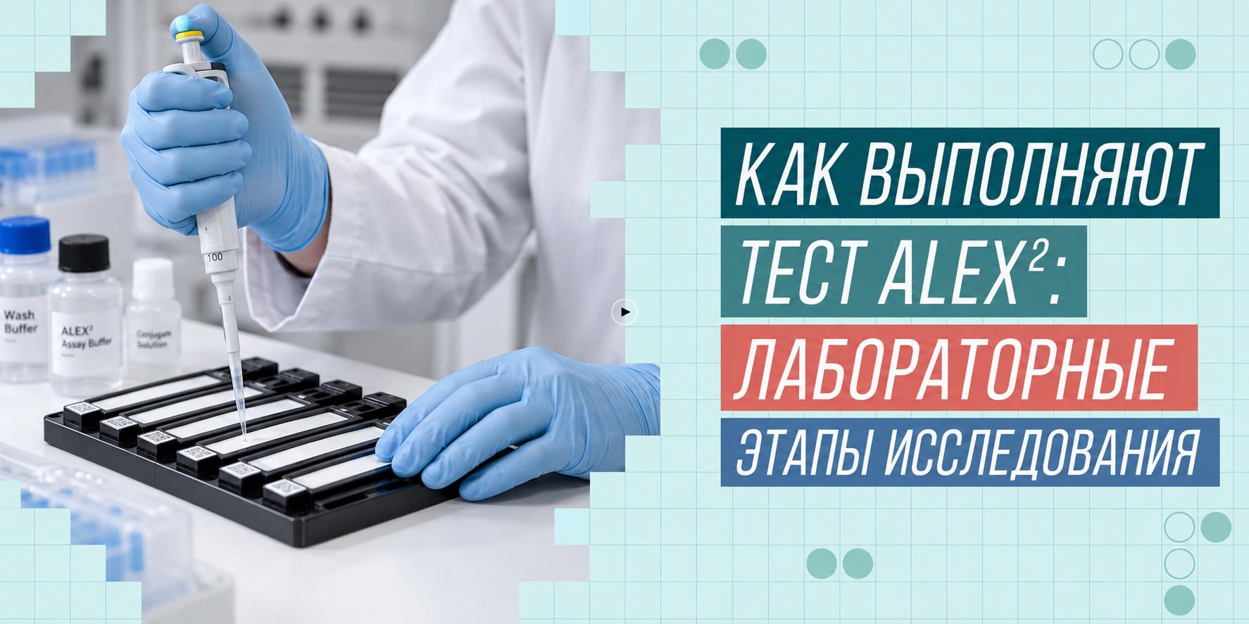 Как выполняют тест ALEX²: лабораторные этапы исследования