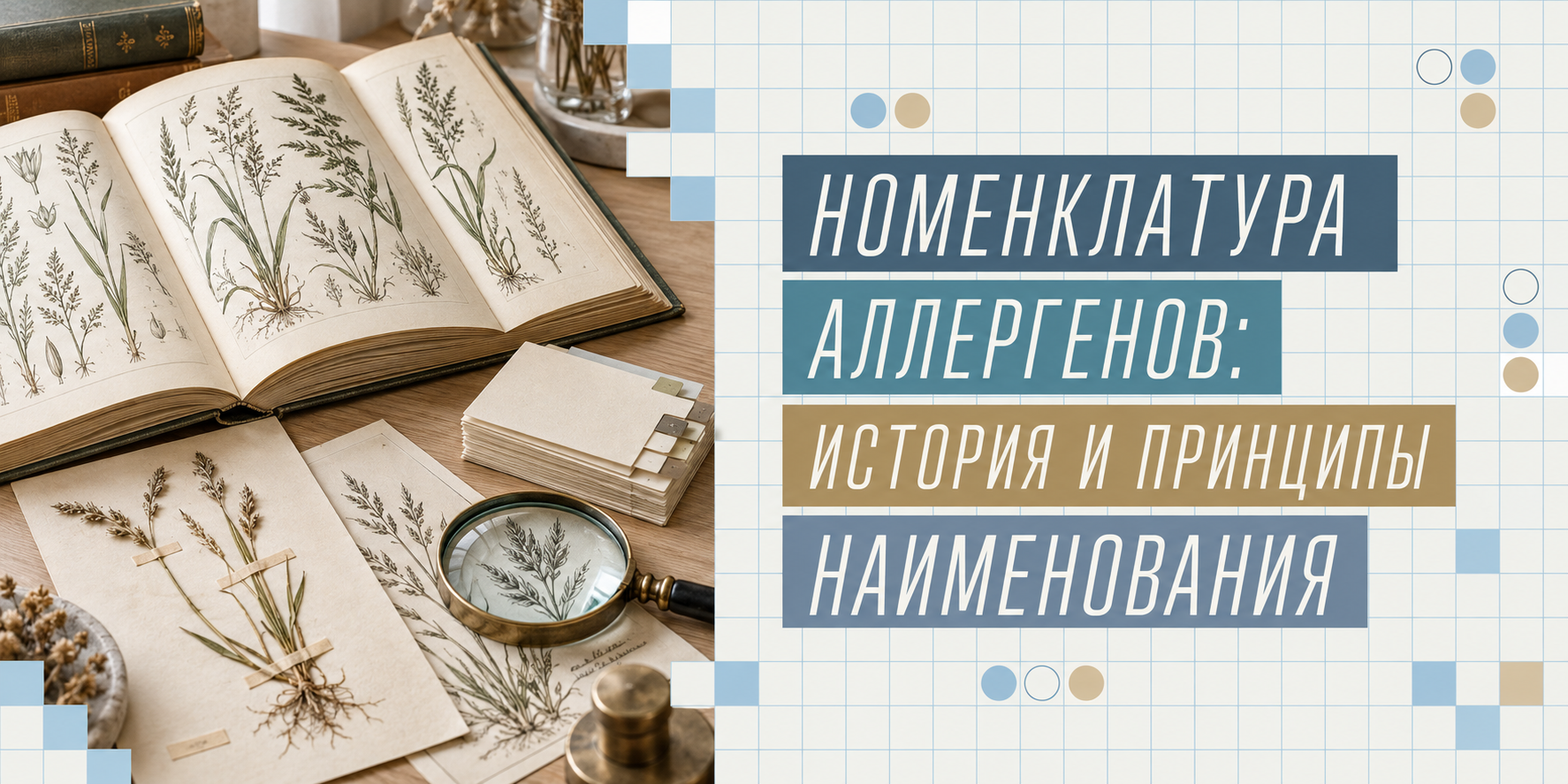 Номенклатура аллергенов: история и принципы наименования